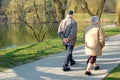 Seniors walking Royalty Free Stock Photo