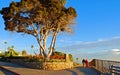 Seniors walking in Heisler Park, Laguna Beach, CA. Royalty Free Stock Photo