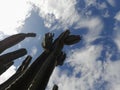 senita cactus touching sky clouds background Royalty Free Stock Photo