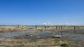 Senjojiki Rock Seaside, A Thousand Tatami Mats Royalty Free Stock Photo