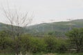 Senkvice, Slovakia - April, 2011: electric poles near grape garden, green fields and hills view from railway carriage. Royalty Free Stock Photo