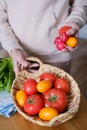 Senora woman holding a basket with farm tomatoes Royalty Free Stock Photo