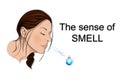 The sense of smell