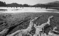 Sense of sunny beach point when low water level in summer in mt. rainier area,Wa,usa