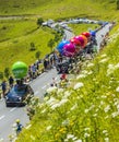 Senseo Caravan - Tour de France 2014