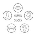 Senses of human perception icons set Royalty Free Stock Photo