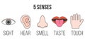 5 senses icon