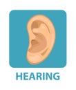 Sensitive hearing icon flat style. Ear. Isolated on white background. Vector illustration.