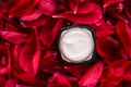 Sensitive skincare moisturizer cream on red flower petals and water background, natural science for skin Royalty Free Stock Photo