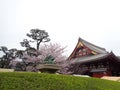 Sensoji temple at Asakusa, Tokyo 2016