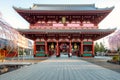 Sensoji temple gate with cherry blossom tree during spring season in morning at Asakusa district in Tokyo, Japan. Japan tourism,