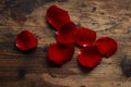 Sensual background composed of petals of red roses Royalty Free Stock Photo