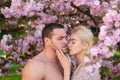 Sensual couple in cherry sakura blossoms flowers. Outdoor portrait of young lovers couple near sakura. Loving sexy Royalty Free Stock Photo