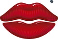 Sensual lips Royalty Free Stock Photo