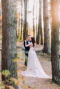 Sensual moment of romantic newly married couple holding each other in the autumn pine forest