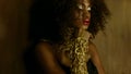 Sensual portrait of african american female model with glossy golden makeup posing to the camera on the textured