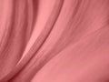 Sensual Rose Petals Texture