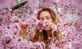 Sensual, seductive, innocent portrait of sexy, young redhead woman smells cherry blossoms in flower tree, in april, spring