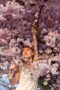 sensual seductive young sexy blonde woman portrait in white dress in tree surrounded by japanese cherry blossoms Royalty Free Stock Photo