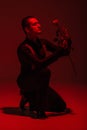 Tango dancer holding red rose while standing on knee on dark background with red lighting Royalty Free Stock Photo