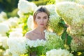 Sensual woman in blooming bush of hydrangea flowers in spring garden. Hydrangeas shrubs flowers. Woman near a blossoming Royalty Free Stock Photo