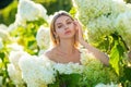 Sensual woman in blooming bush of hydrangea flowers in spring garden. Hydrangeas shrubs flowers. Woman near a blossoming