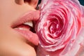 Sensual woman lips with beautiful rose. Lips with lipstick closeup. Beautiful sexy woman lips with rose.