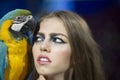 Sensual woman look at parrot. Woman with blue and yellow macaw. girl with makeup and bird pet. Beauty model with Royalty Free Stock Photo