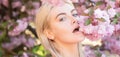 Sensual woman near sakura tree background, banner for website header. Beautiful girl in pink flowers in blossom park Royalty Free Stock Photo