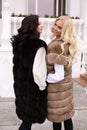 Sensual women with long hair in elegant fur coats