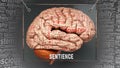 Sentience in human brain