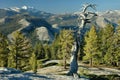 Sentinel Dome Evening, Yosemite Royalty Free Stock Photo