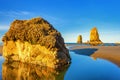 Sentinels Of The Oregon Coast