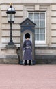 Sentry at Buckingham Palace