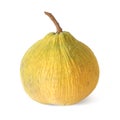 The sentul fruit isolated on white background Royalty Free Stock Photo