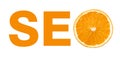 Seo concept with slice of orange