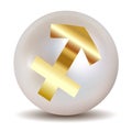 Pearl - Gold HOROSCOPE SIGNS OF THE ZODIAC Sagittarius 22 November - 20 December Royalty Free Stock Photo