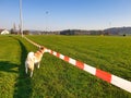 Football field closed by the regional police.