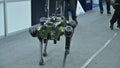 Seongnam, South Korea - Oct 21 2023: Quadruped Robot displayed at Seoul airshow ADEX 2023.