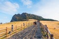 Seongsan Ilchulbong , Jeju Island , South Korea. Royalty Free Stock Photo