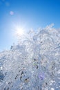 Seoraksan mountains is covered by morning fog in winter. Royalty Free Stock Photo