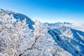 Seoraksan mountains is covered by morning fog in winter, Korea. Royalty Free Stock Photo