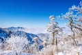 Seoraksan mountains is covered by morning fog in winter, Korea. Royalty Free Stock Photo