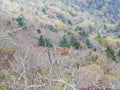 Seoraksan National Park in autumn, Gangwon, South Korea Royalty Free Stock Photo
