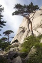 Seoraksan National Park,South Korea Royalty Free Stock Photo