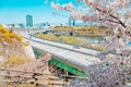 Seoul cityscape with forsythia flower and cherry blossoms in Korea