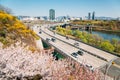 Seoul cityscape and Eungbongsan mountain with cherry blossoms and forsythia flowers in Korea