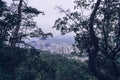 Seoul cityscape through Namsan park trees Royalty Free Stock Photo