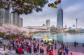 SEOUL, KOREA - APRIL 5, 2015: tourist In spring with cherry blossoms,Lotte World, Amusement park in Seoul South Korea on April Royalty Free Stock Photo