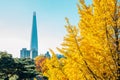 Lotte world tower and yellow ginkgo tree at autumn in Seoul, Korea